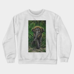 Baby Elephant in the tall grass Crewneck Sweatshirt